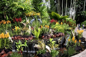 Singapur: Nationaler Orchideengarten Eintritt