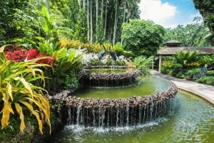 Singapur: Nationaler Orchideengarten Eintritt