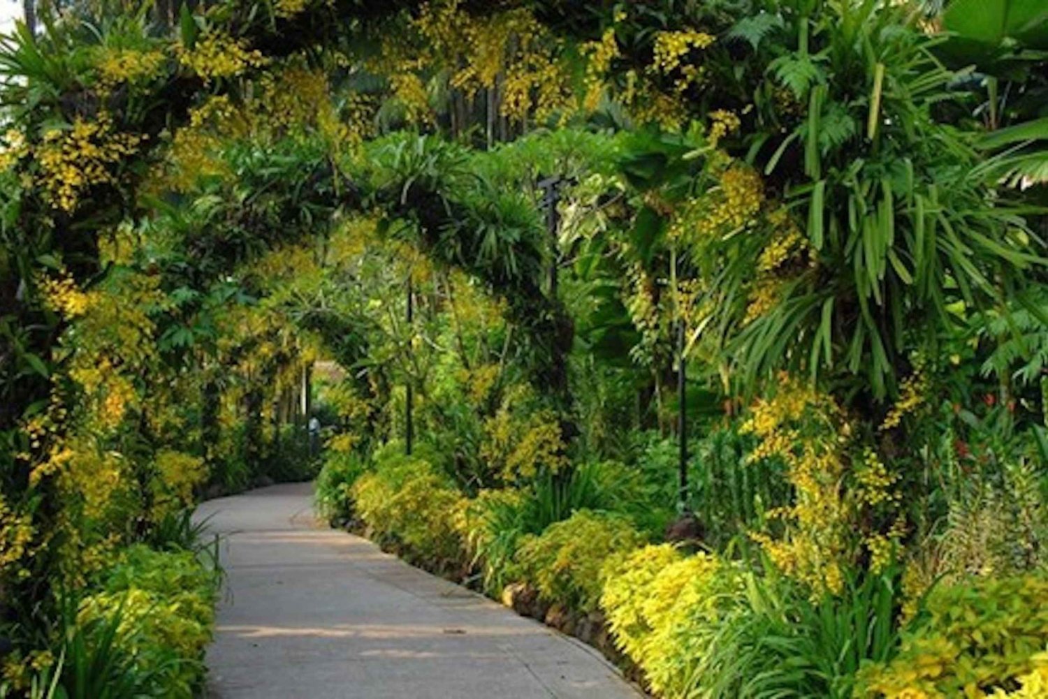 Singapore: National Orchid Garden Entry Tickets