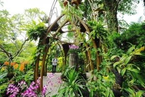Singapore: National Orchid Garden Pääsyliput
