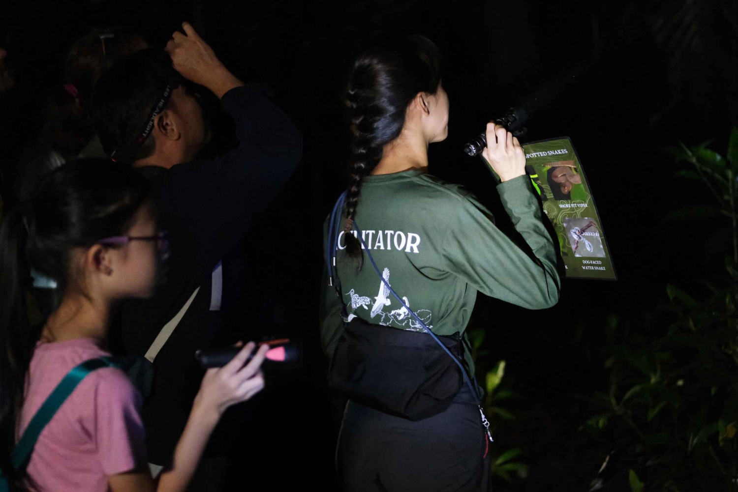 Singapore: Night Mangrove Wildlife Walk