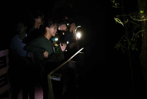 Singapore: Night Mangrove Wildlife Walk