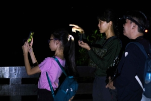 Singapore: Night Mangrove Wildlife Walk