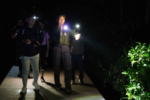 Singapore: Night Mangrove Wildlife Walk