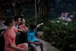 Singapore: Nattsafari og trikkebillett