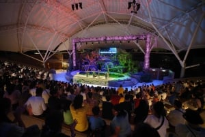 Singapore: Nattsafari og trikkebillett