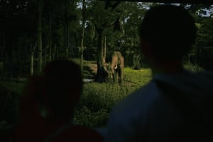 Singapore: Nattsafari og trikkebillett
