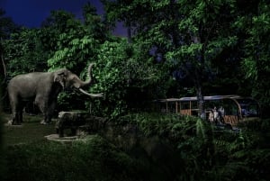 Singapore: Nattsafari og trikkebillett