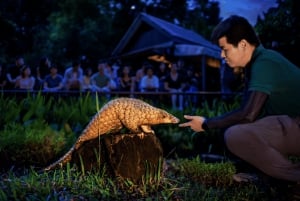 Singapore: Nattsafari og trikkebillett