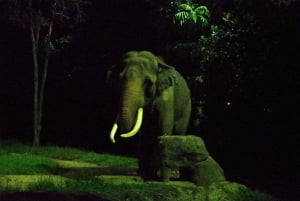 Singapore: Nachtsafari Singapore met tram