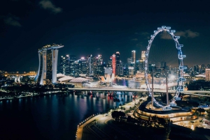 Private Night Tour: Singapore River Cruise and 2 Light Shows