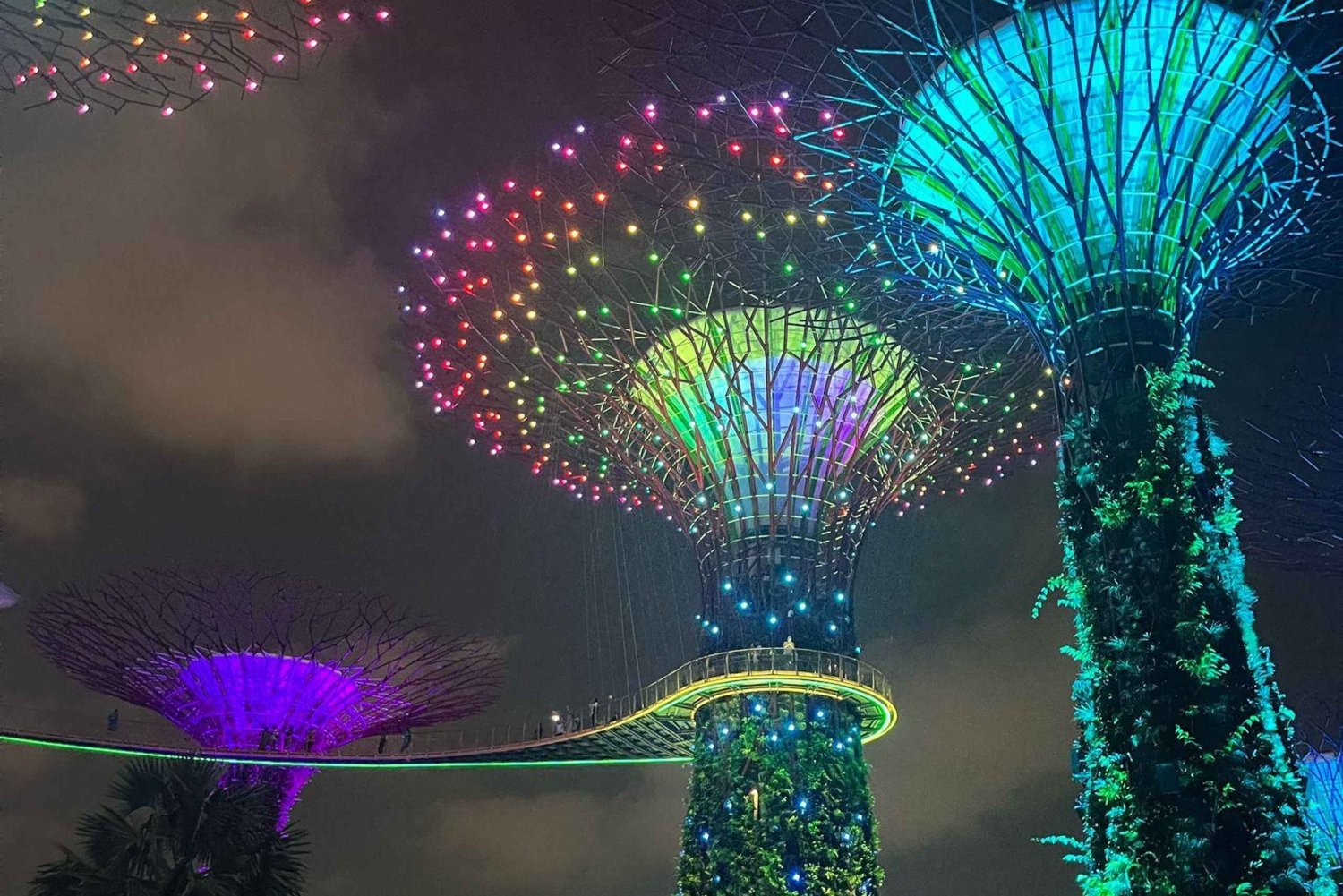 Singapore: Nattliga underverk med kryssning och ljusshow