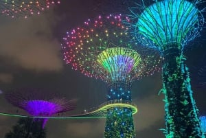 Singapur: Nocny rejs wycieczkowy z pokazami świetlnymi