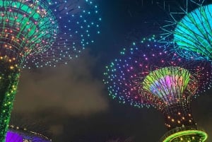 Singapur: Nocny rejs wycieczkowy z pokazami świetlnymi