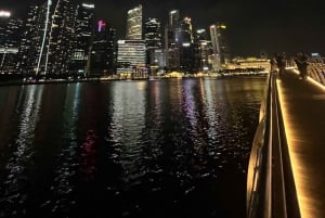 Singapur: Nocny rejs wycieczkowy z pokazami świetlnymi