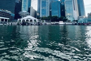 Singapur: Nocny rejs wycieczkowy z pokazami świetlnymi