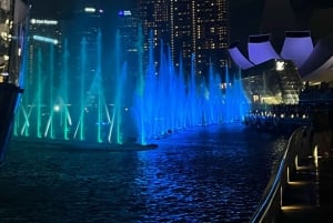Singapur: Nocny rejs wycieczkowy z pokazami świetlnymi