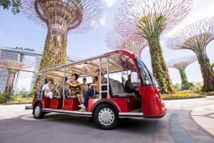 Singapur: Wycieczka audio na świeżym powietrzu w Gardens by the Bay