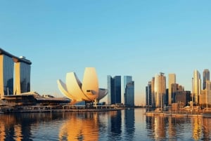 Singapore Package 2: With USS + Half Day City Tour