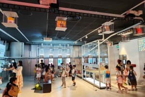 Singapura: Pagodes, Planos e Pessoas - Excursão Cultural Chinesa