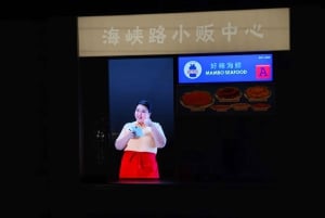 Singapur: Pagodas, planes y gente - Tour cultural chino