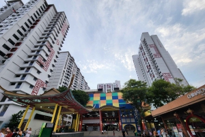 Singapur: Pagodas, planes y gente - Tour cultural chino