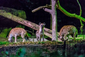Singapore: Mandai Park Entry with Choice of Attractions