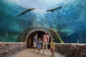 Singapore: Mandai Park Entry with Choice of Attractions