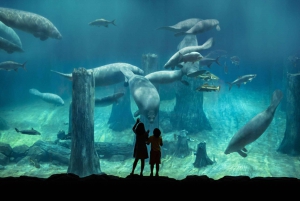 Singapore: Mandai Park Entry with Choice of Attractions