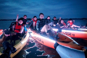 Singapour : excursion nocturne en kayak à LED et moules