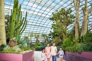 Сингапур: абонемент со скидкой до 50% — включает Universal Studios