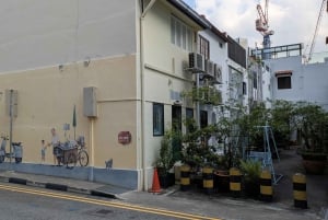 Singapore: Past Meets Present-A Walk Through Time and Taste