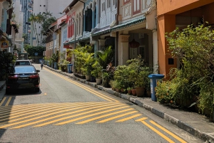 Singapore: Past Meets Present-A Walk Through Time and Taste