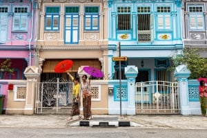 Singapore: Peranakan Culture and City Highlights Tour