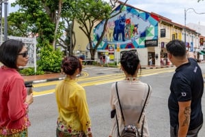 Singapore: Peranakan Culture & Heritage Walking Guided Tour