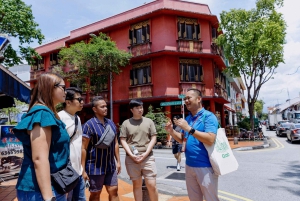 Singapore: Peranakan Culture Tour