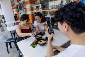 Singapore: Peranakan Culture Tour