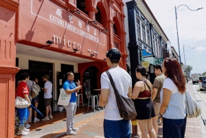 Singapore: Peranakan Culture Tour