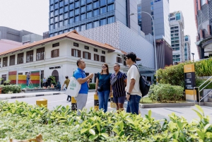 Singapore: Peranakan Culture Tour