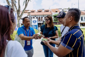 Singapore: Peranakan Culture Tour