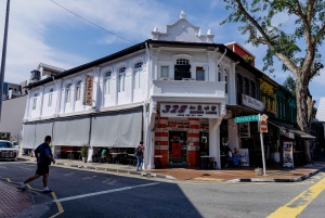 Singapore: Peranakan Culture Tour