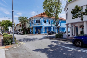Singapore: Peranakan Culture Tour