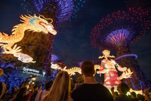 Singapore Photography: Marina Bay Sands & Gardens by the Bay