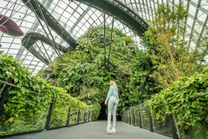 Singapore Fotografi: Marina Bay Sands & Gardens by the Bay