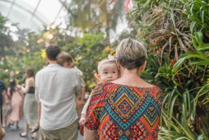 Singapore Fotografi: Marina Bay Sands & Gardens by the Bay