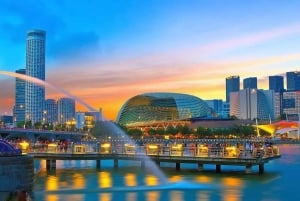 Singapore: Private 3-4-6-8 Hour Customized Singapore Tour