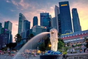 Singapore: Private 3-4-6-8 Hour Customized Singapore Tour