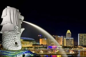 Singapore: Private 3-4-6-8 Hour Customized Singapore Tour