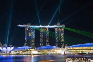 Singapore: Private 3-4-6-8 Hour Customized Singapore Tour