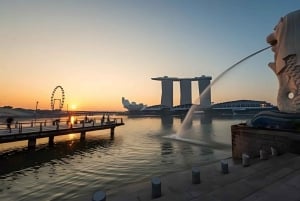 Singapore: Private 3-4-6-8 Hour Customized Singapore Tour